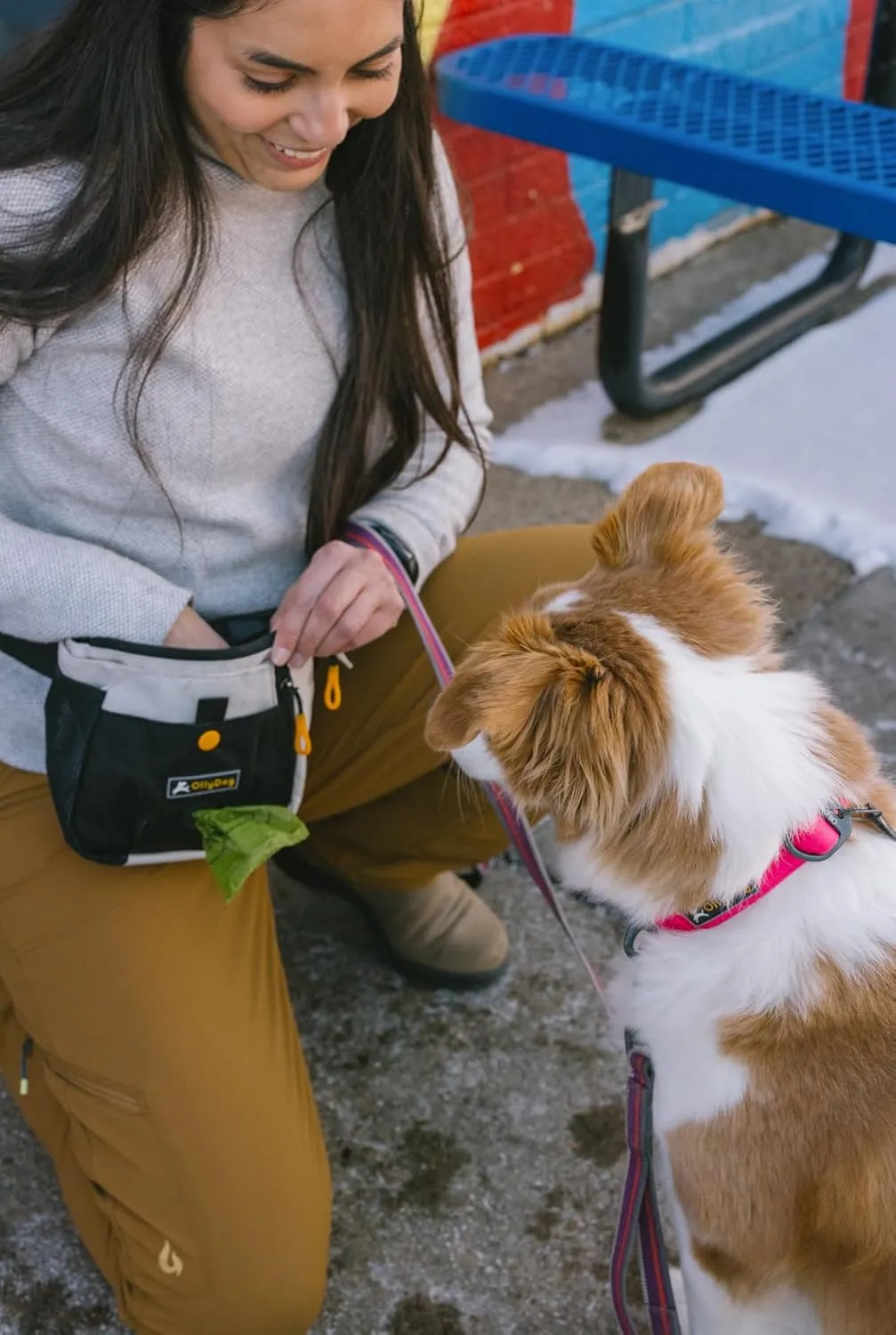 OllyDog Backcountry Day Bag | Hands-Free Dog Training Treat Pouch | Fanny/Hip Pack with Zipper Closure & Built-in Poop Bag Dispenser | Removable Waist Clip (Bluff)